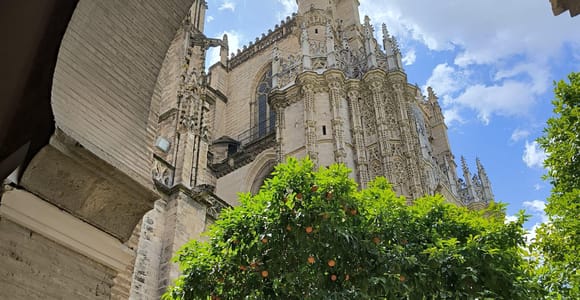 Sevilla: Private Tour zu den wichtigsten Sehenswürdigkeiten (OHNE Eintrittskarten)