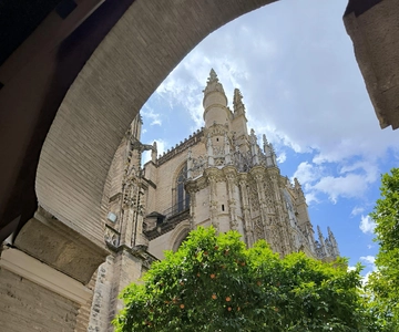 Seville: Major Landmarks Private Tour
