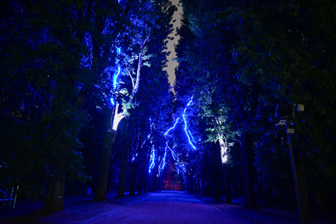Porto: Serralves Em Luz Immersive Light Show Entry Ticket