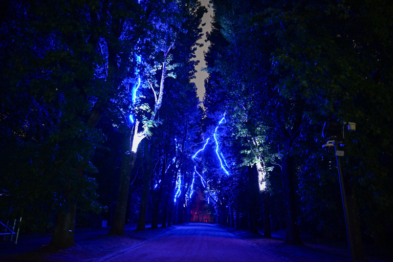 Porto: Serralves Em Luz Immersive Light Show Entry Ticket