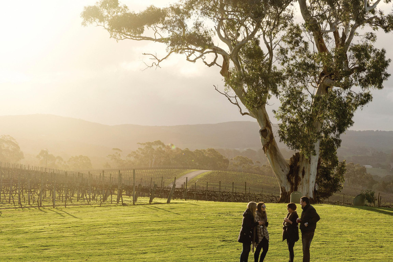Visite à arrêts multiples dans les collines d&#039;Adélaïde et à HahndorfPrise en charge dans la région d&#039;Adelaide Hills et Hahndorf à 10h55.