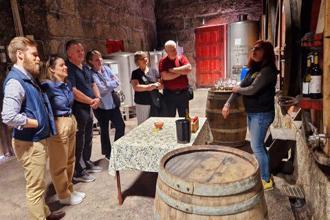 DOURO VALLEY: Premium Wine Tour, Cruise & Winery´s Lunch Shared Group Tour with Hotel Pick-up and Drop-Off