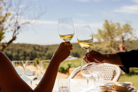 Depuis Barcelone : TARRAGONE Visite guidée et dégustation de vins