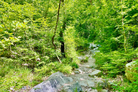 Tagestour mit dem Land Rover zum Berg Dajti und zum Wasserfall Shengjergj