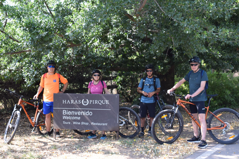 Aventure vélo et vin dans les Andes Pédalez et dégustezAventure vélo et vin dans la Cordillère des Andes : Pédalez et dégustez