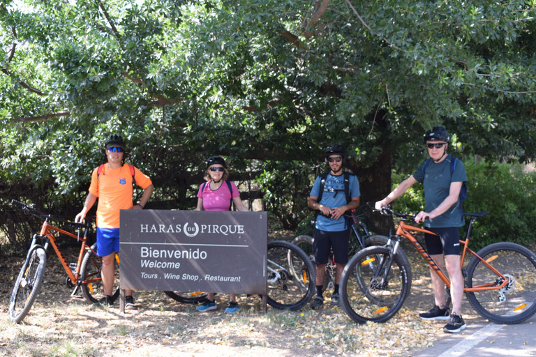 Aventure vélo et vin dans les Andes Pédalez et dégustezAventure vélo et vin dans la Cordillère des Andes : Pédalez et dégustez