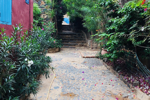 Dakar: Gorée Island and Tour of the Capital