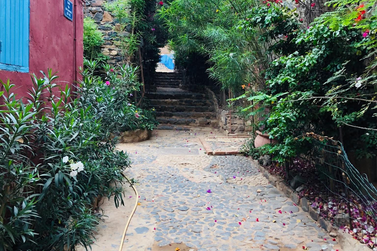 Dakar: Gorée Island and Tour of the Capital