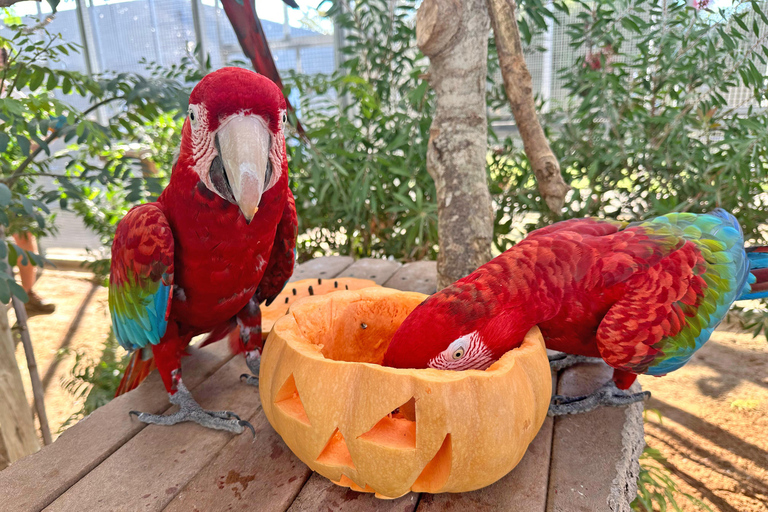 Algarve: Zoomarine Amusement Park Entry Ticket 1 Day Algarve Zoomarine Amusement Park Entry Ticket