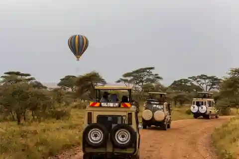 Arusha: Safari de 5 días a Tarangire, Serengeti y Ngorongoro