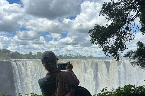 Victoria Falls: Big Tree, Falls & Bridge Guided Tour