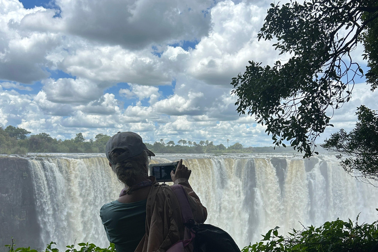 Victoria Falls: Big Tree, Falls & Bridge Guided Tour