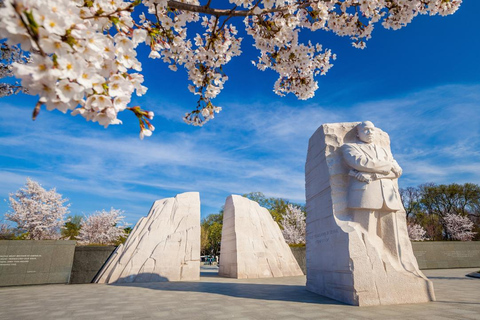 Washington DC: Tour Privado con Vehículo de LujoVisita privada a Washington DC