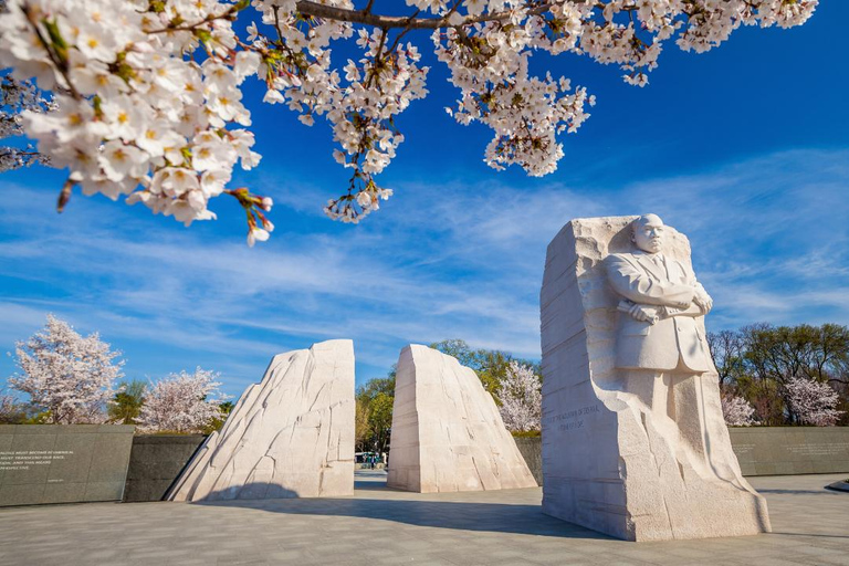 Washington DC: Tour Privado com Veículo de LuxoTour Privado em Washington DC