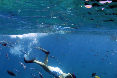 Oahu: *NEU* Stand-Up-ATV- &amp; Sonnenuntergangs-Schnorchelkreuzfahrt-AbenteuerOahu: *NEU* Stand-up-ATV &amp; Schnorchel-Kreuzfahrt bei Sonnenuntergang