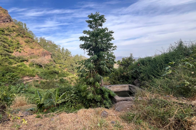 Rui Vaz Scenic Hike and Botanical Garden Stop