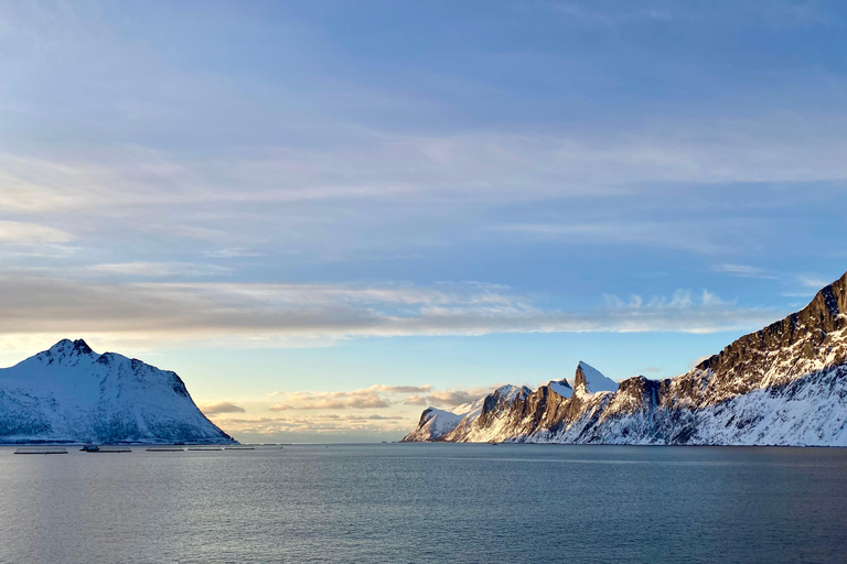 From Tromsø: Discover Senja Island with Local Guide From Tromsø: Privately Discover Senja with Local Guide