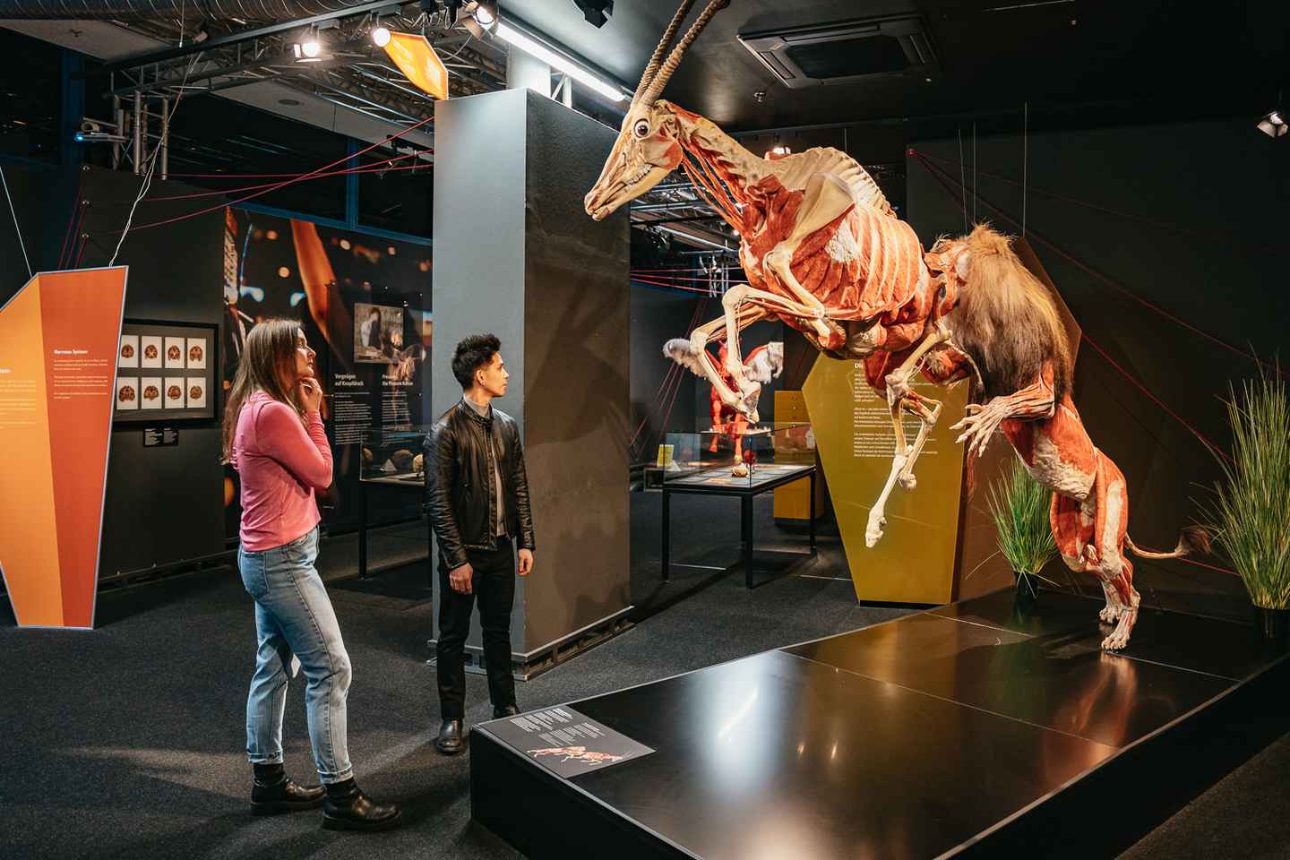 베를린: BODY WORLDS 전시회 입장권 구매 가이드