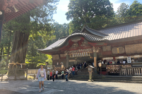 4-Daagse privétour Mt Fuji, Hakone, Nikko en Tokio.