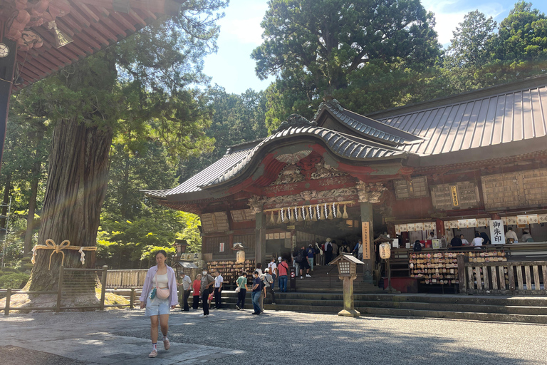 4-Daagse privétour Mt Fuji, Hakone, Nikko en Tokio.