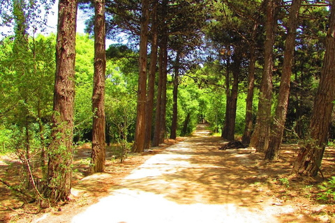 Baku: Fauna and Flora Tour