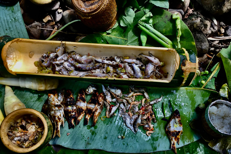 Fishing & Picnic Lunch in Luang Prabang