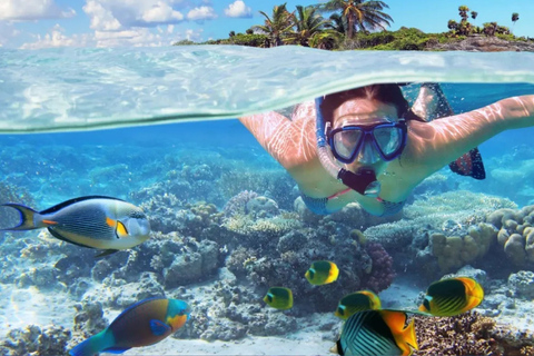 From Punta Cana: Catalina Island Snorkeling & Beach
