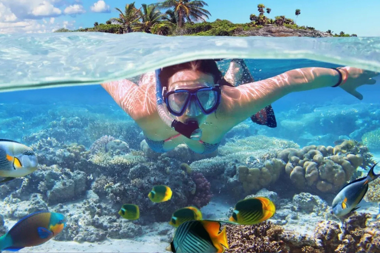 From Punta Cana: Catalina Island Snorkeling & Beach