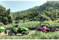Pattaya, 2-stündige Monster Buggy Adventure Tour - Housity
