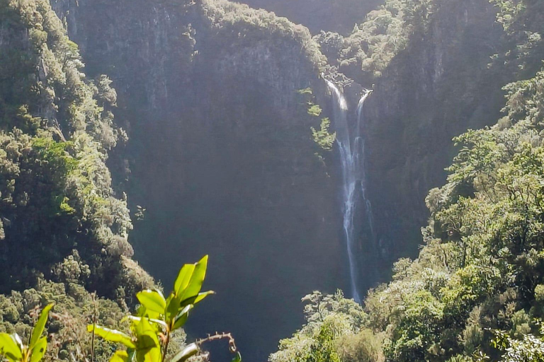 Madeira: 25 Fontes & Risco Guided Hike Rabaçal