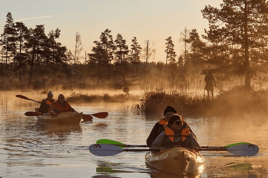 Ab Riga: Kajak- oder SUP-Board-Tour bei Sonnenaufgang in Ķemeru tīrelis. Foto: GetYourGuide
