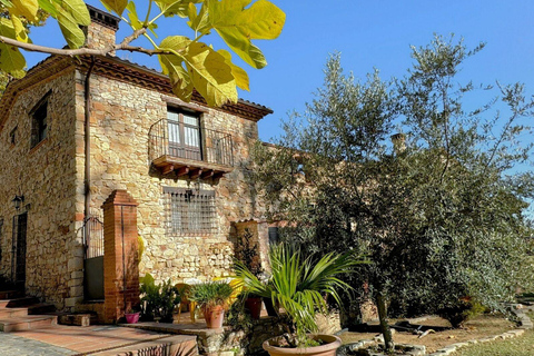 Barcelona: Montserrat &amp; Deine Wahl: Gestalte dein eigenes ErlebnisOption F: Nur Montserrat