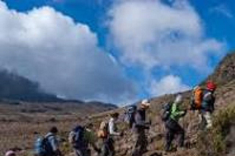 EXPERIENCE 5 DAYS MT.KILIMANJARO HIKING TOUR : MARANGU ROUTE