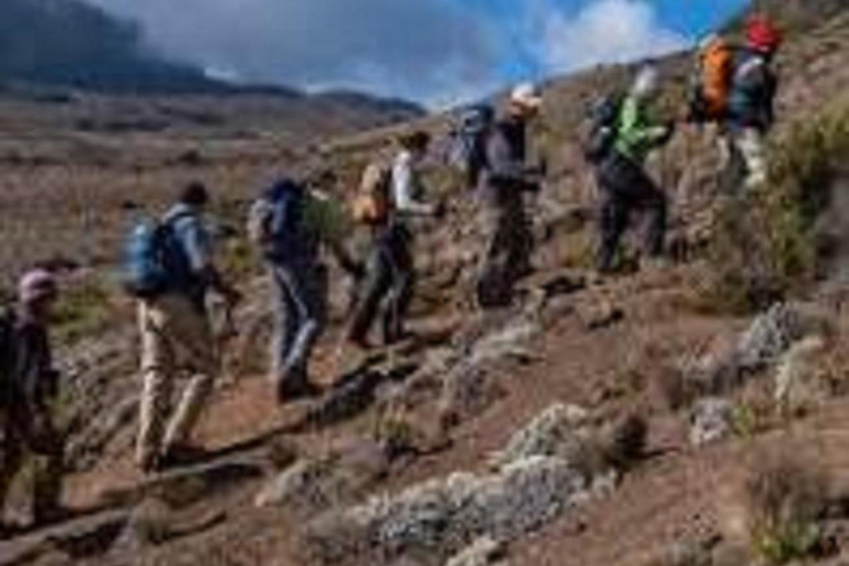 EXPERIENCE 5 DAYS MT.KILIMANJARO HIKING TOUR : MARANGU ROUTE