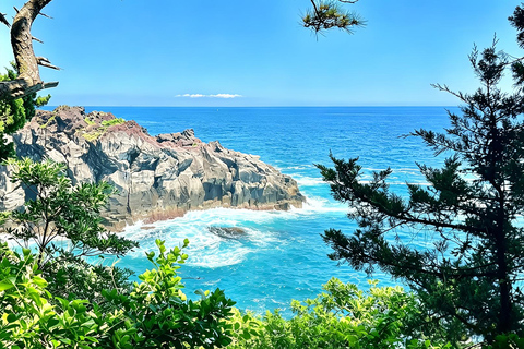 Small Group Day Tour:Omuro Mountain & the Izu Scenic Railway Hotel Transfer Option
