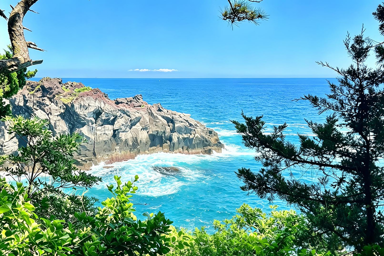 Small Group Day Tour:Omuro Mountain & the Izu Scenic Railway Hotel Transfer Option