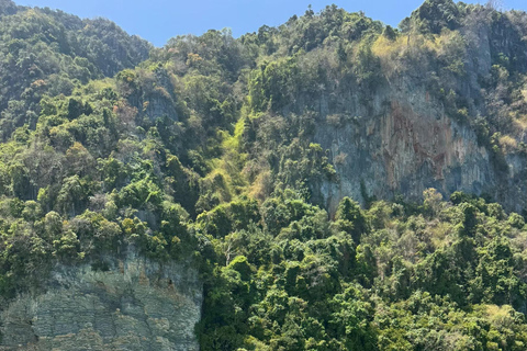 From Khao Lak: Phi Phi, Maya bay & Khai island Day Trip