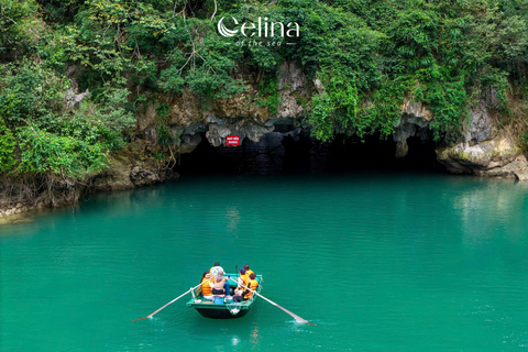 Experience Celina Cruise - the Best & Largest in Lan Ha Bay