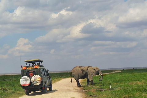 OVER NIGHT AMBOSELI PARK FROM NAIROBI BUDGET SAFARI.