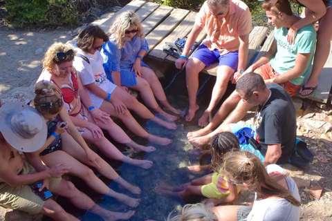 Aruba: Private Customizable Tour with Guide Aruba: Private Customizable Tour with Guide (Max 7 pax)