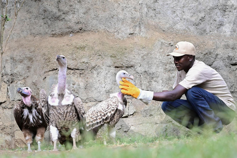 Nairobi: Hell’s Gate, Crescent Island, & Raptor Center Tour