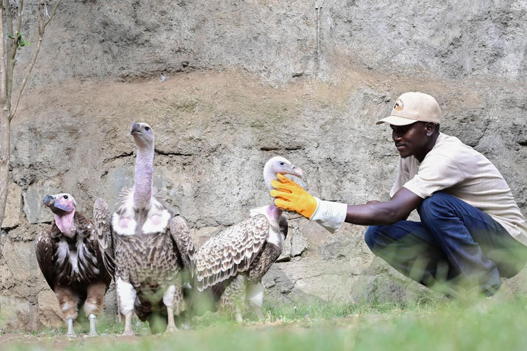 Nairobi: Hell’s Gate, Crescent Island, & Raptor Center Tour