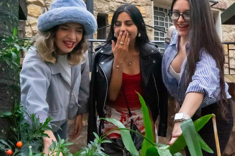 Bogotá: Chapinero Alto Walk with Coffee &amp; Local Market