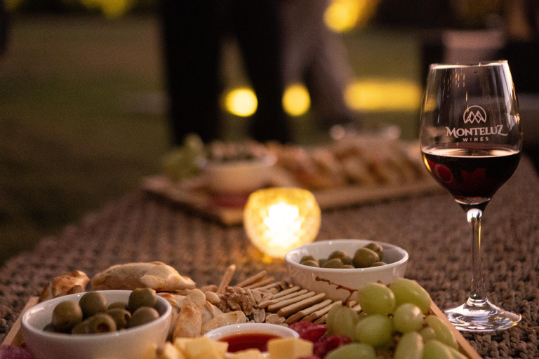 Santiago: Vinicola Monteluz Sunset Party Experience 360