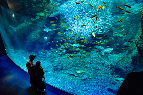 Acquario di Enoshima: Biglietto d&#039;ingresso
