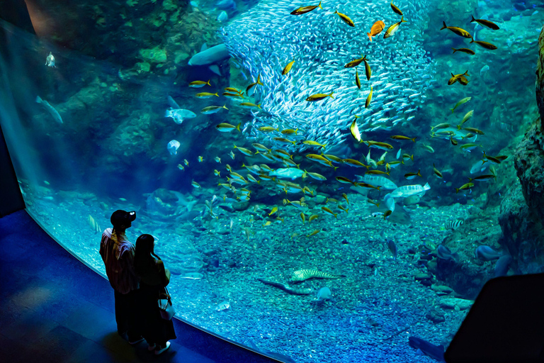 Acquario di Enoshima: Biglietto d&#039;ingresso