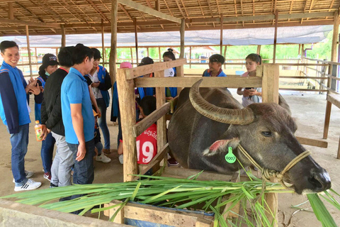 Visit buffalo farm, cooking-class forest, Kuang Si waterfall