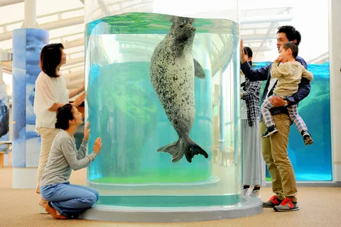 Toegangskaartje Kyoto Aquarium