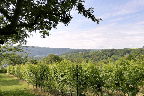 Koblenz: De levende wijngaard, natuur & wijngenot