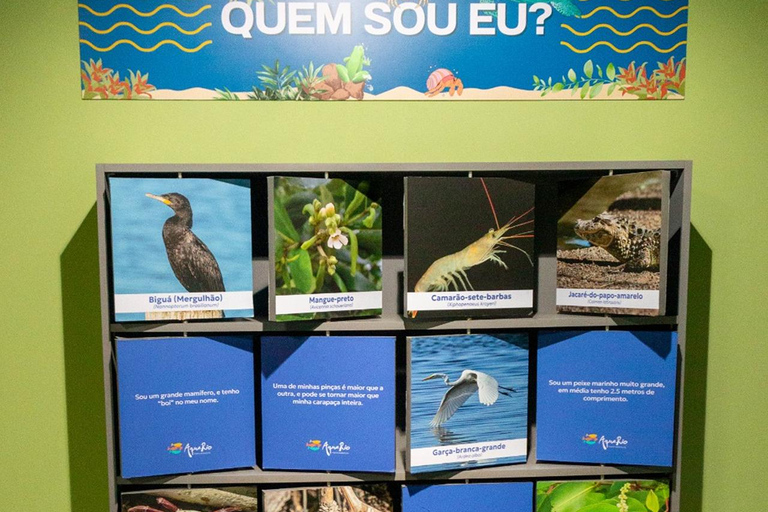 Río de Janeiro: ticket de entrada a AquaRio